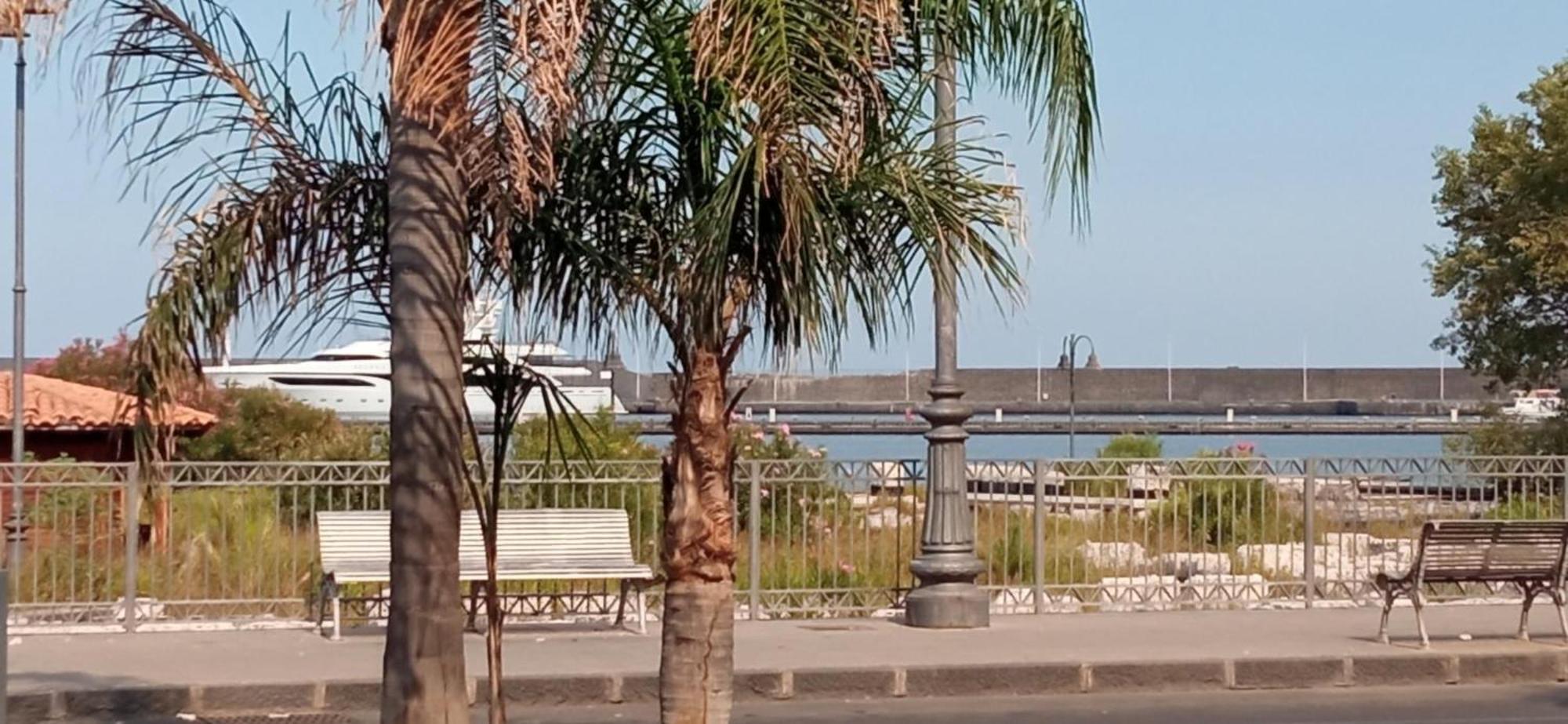 Casa Tropicana Apartamento *