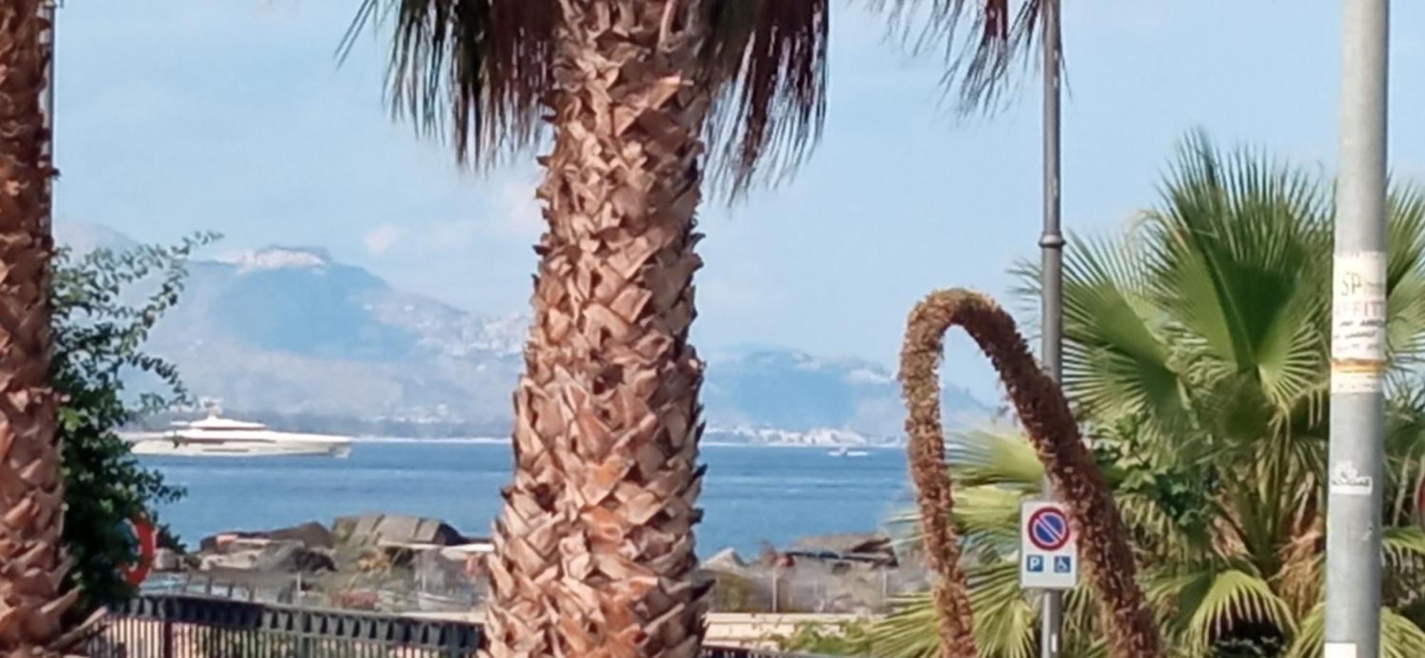 Tropicana Apartment